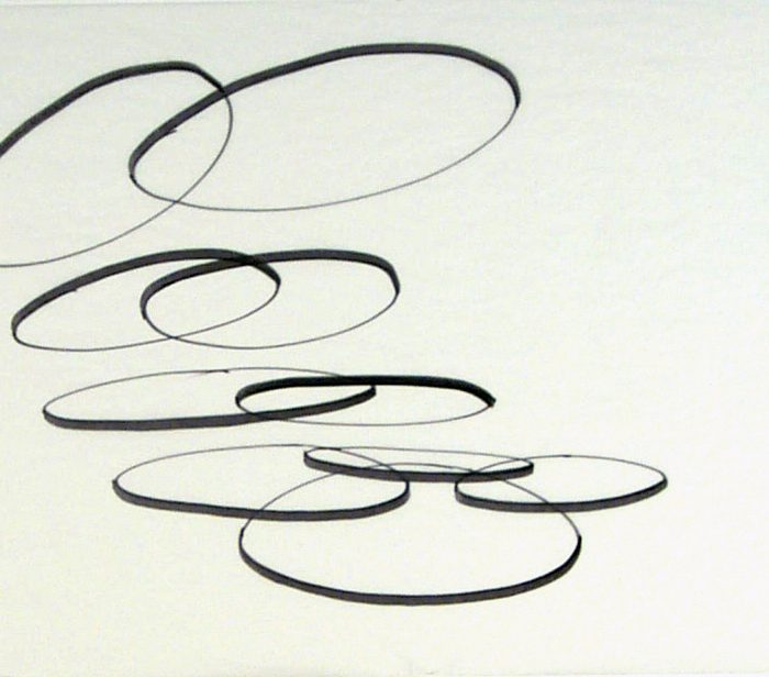 Vellum Drawings by Lincoln Schatz Studio, Fine Art