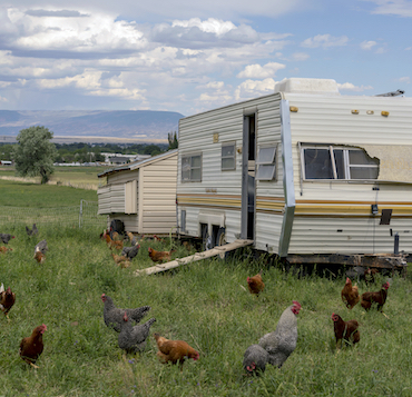 an rv has been converted into a chicken coop, with a ramp leading inside, left in a grassy field in the Vernal Utah landscape, chickens run outside of it in the grass