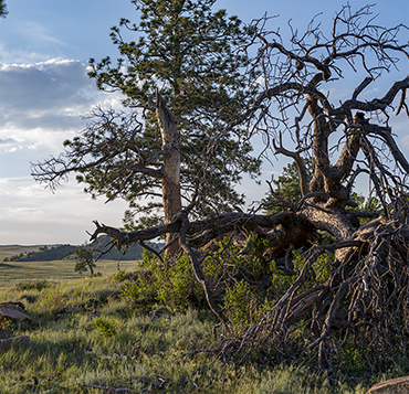 America: Tie Siding, Wyoming