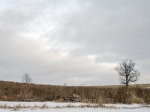 Wisconsin Winter Fields are brown and covered in snow under gray afternoon skies