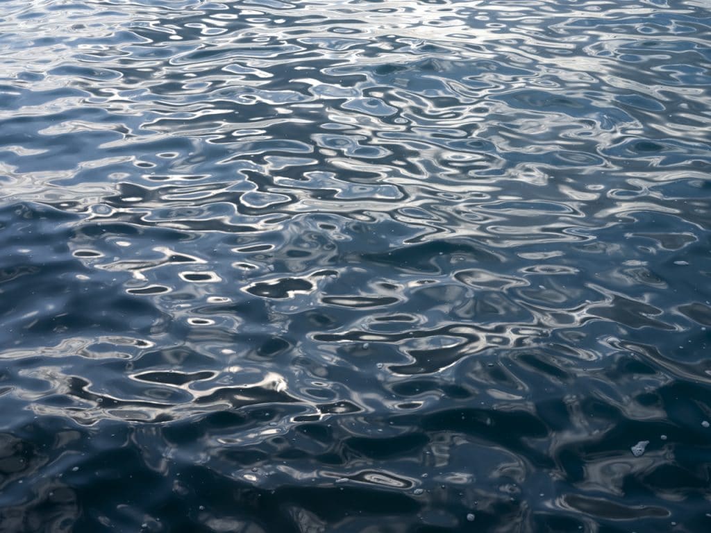 The sun light sculpts water early in the morning. Giving shape to the surface. The light is creating marbled waters as the lake shifts and changes shape gently near shore.