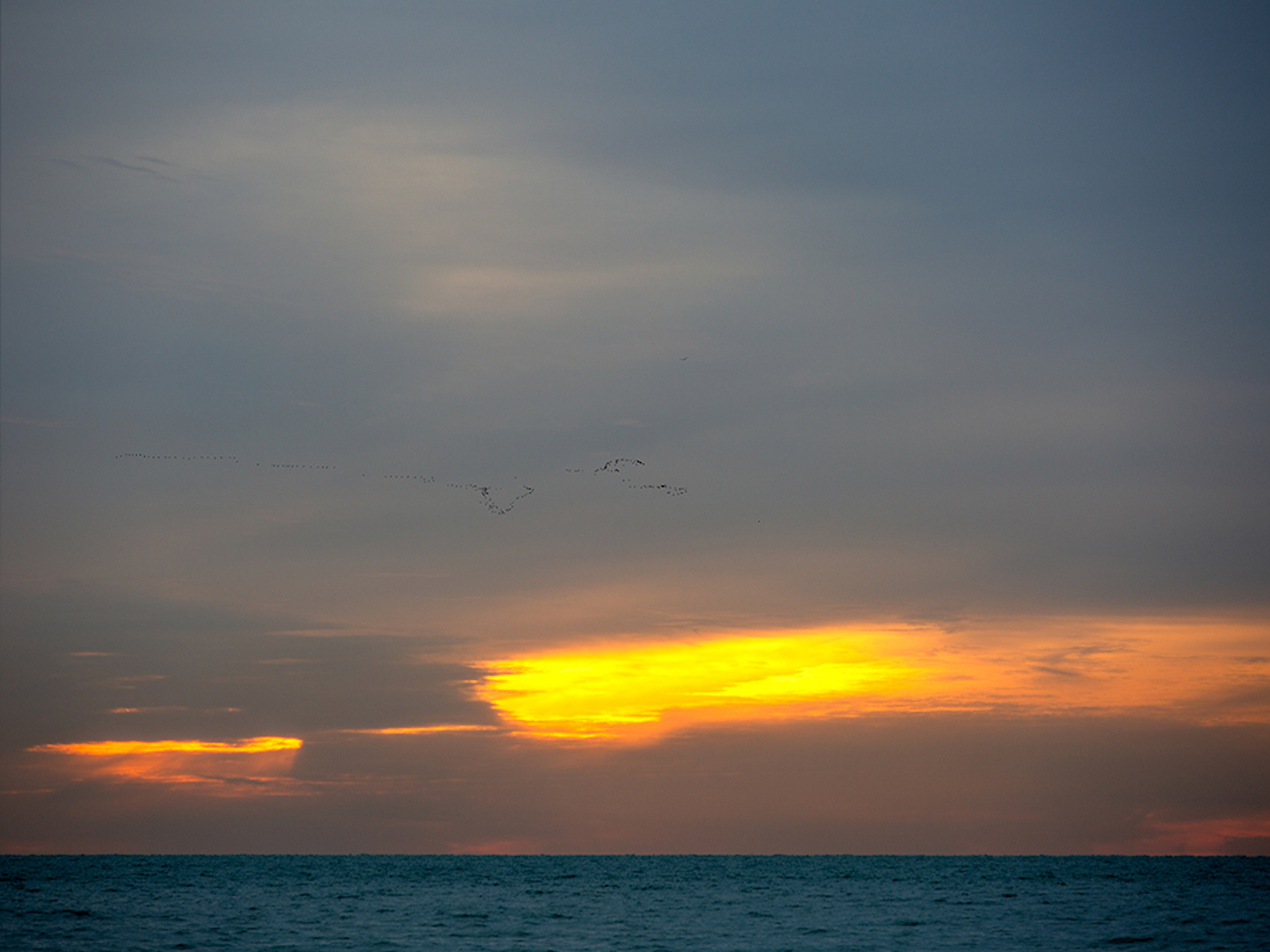 Dawn light comes to Lake Michigan and Canada geese fly in formation out over the cold water.