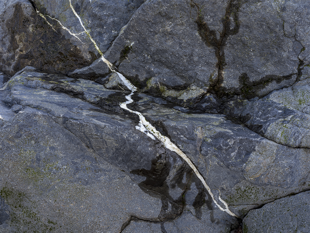 A slash of white quartz cuts diagonally through a large Greywacke rock face in this photograph from the redwood forests of California. This is Redwood Forest, California LXXI.