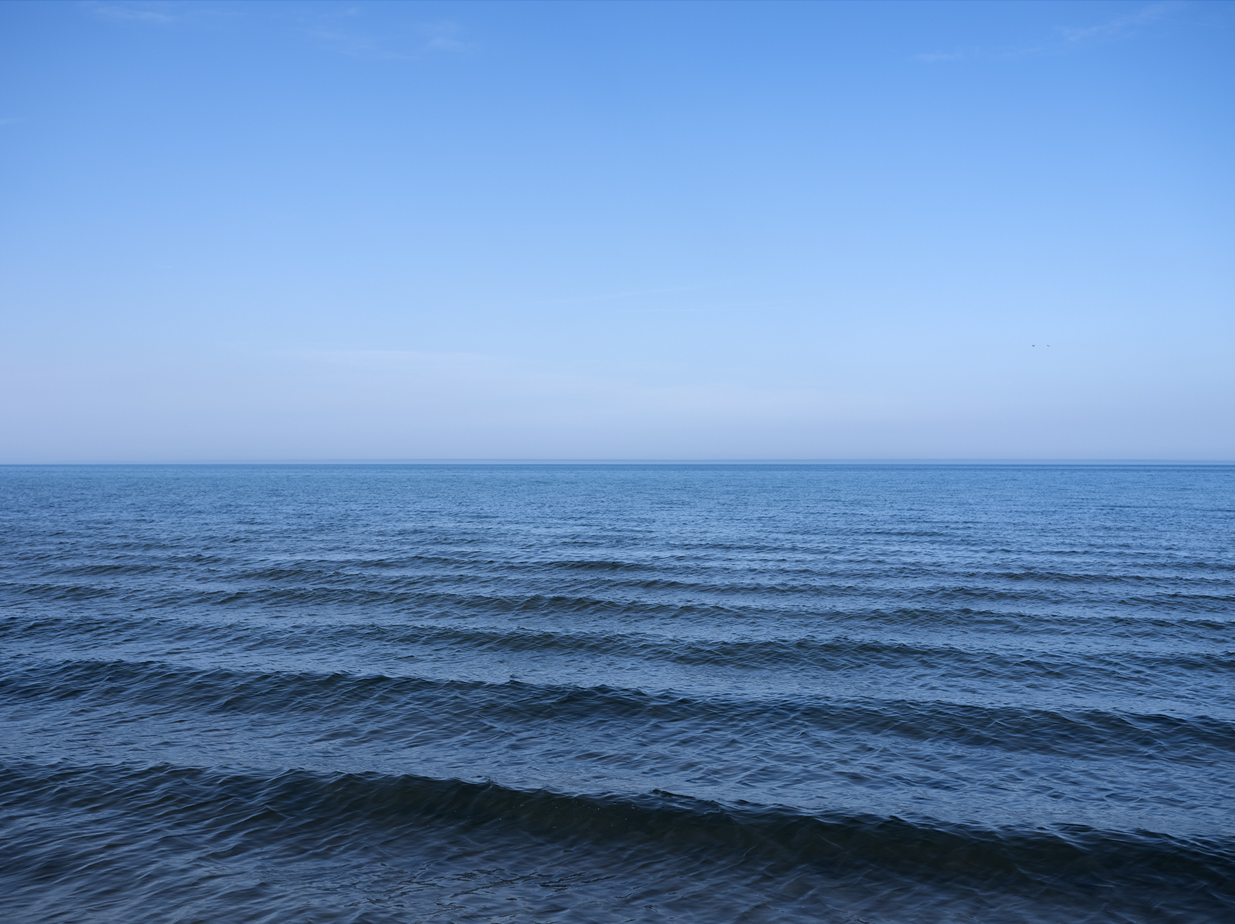The waves in Lake Michigan are serrated like the back of an alligator. Curiously formed ridges with tight textured patterns shifting in and out of focus. Swipe to see the full photograph.
