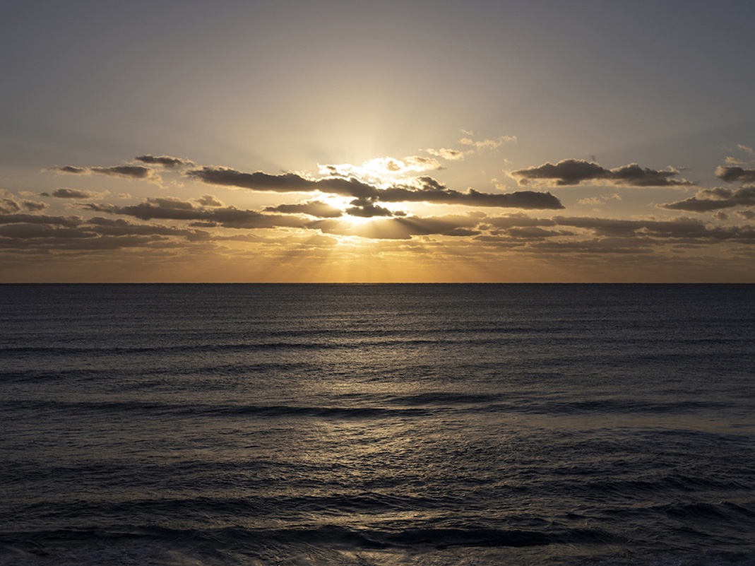 A golden Atlantic sunrise. Golden yellow, daffodils, calendulas and ranunculas. Wings of a Goldfinch, head of a Golden Pheasant. Gamboge Yellow. Saffron Yellow. Dutch Orange, crest of Golden Crested Wren. Scotch Blue, the stamina of a single Purple Anemone. Serpentine stone with Pyrop and fine-grained Magnetite. - Nature's Palette, a color reference system from the natural world. First published in 1814 as Werner's Nomenclature of Colours.