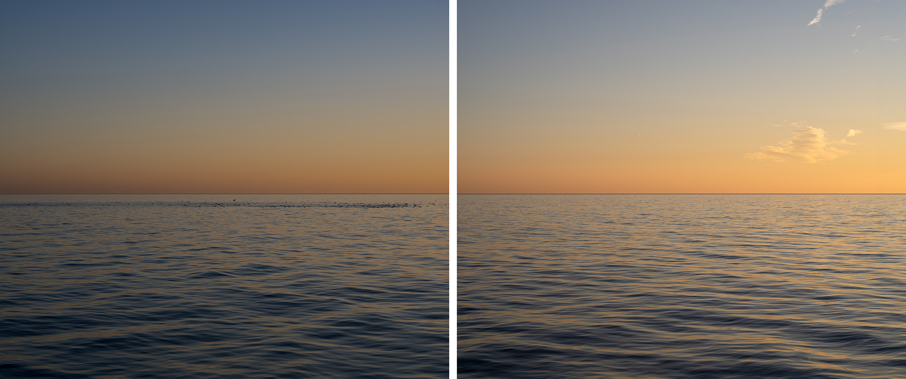 The sky shifts from blue to gold over an almost still Lake Michigan in a pair of photographs from Lake Vistas by Lincoln Schatz. Ducks float in the water out away from the shore.