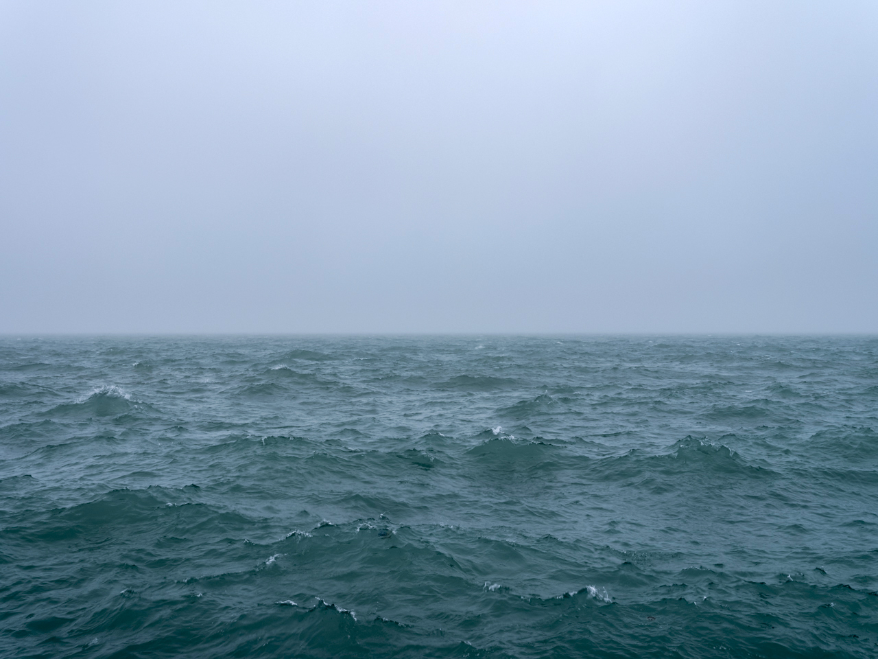 What is your relationship to nature? A question I keep circling back to as I recently returned to reading Maya Lin’s beautiful and deeply thoughtful book, Boundaries. I was struck by a passage exploring the relationships between photography and technology and the natural world.