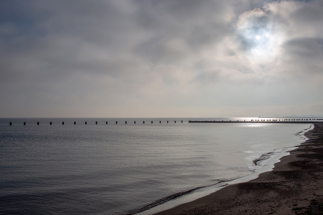 Time and the lake in relationship to the writing of Richard Powers in his book The Overstory. How do we understand time in relationship for Lake Michigan. “But people have no idea what time is. They think it’s a line, spinning out from three seconds behind them, then vanishing just as fast into the three seconds of fog just ahead. They can’t see that time is one spreading ring wrapped around another, outward and outward until the thinnest skin of Now depends for its being on the enormous mass of everything that has already died.” - Richard Powers from The Overstory.
