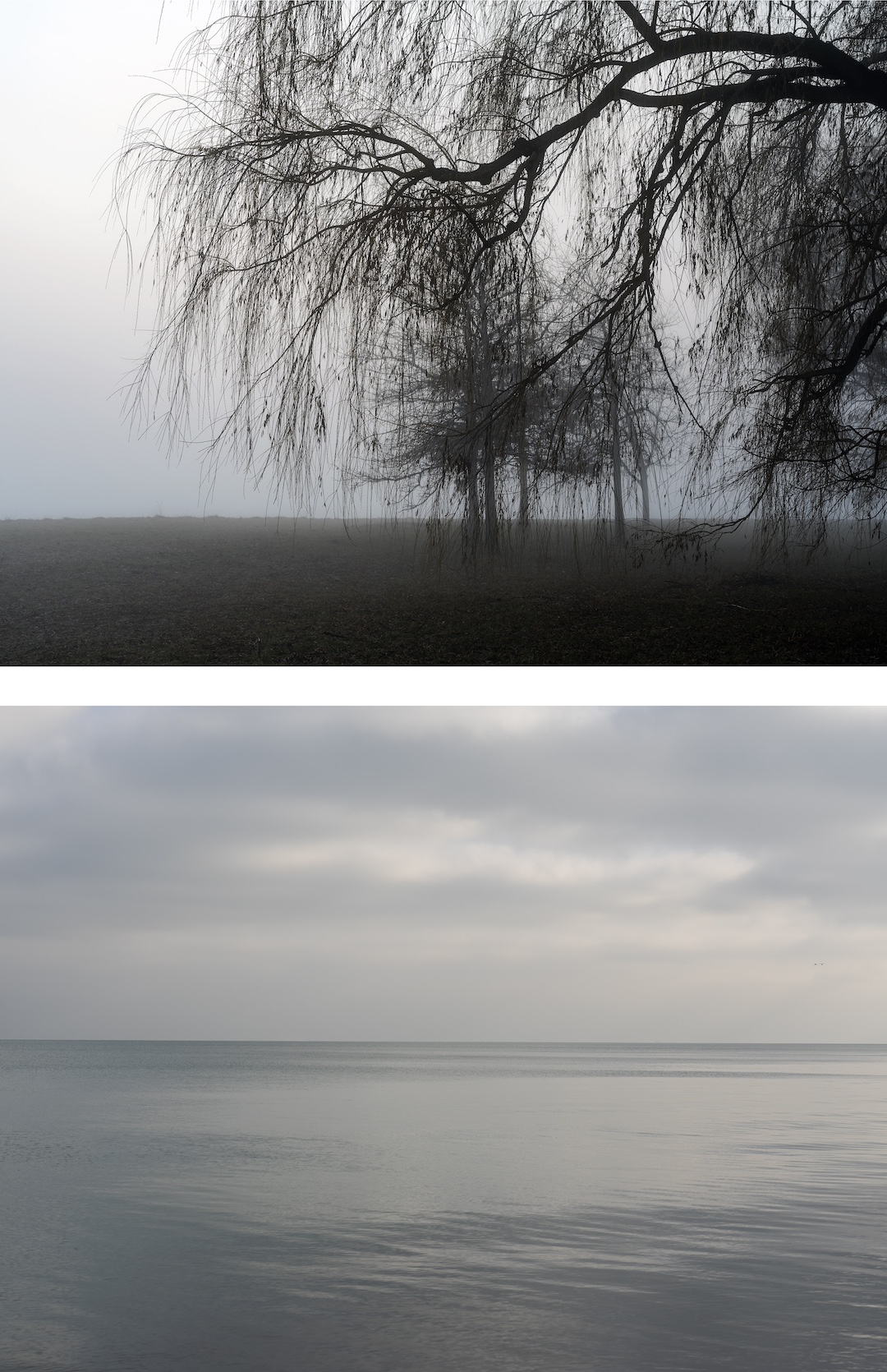Willows stand in fog alongside Lake Michigan early in the day. On another day Lake Michigan is rendered in soft grays as it slowly wakes at dawn. 