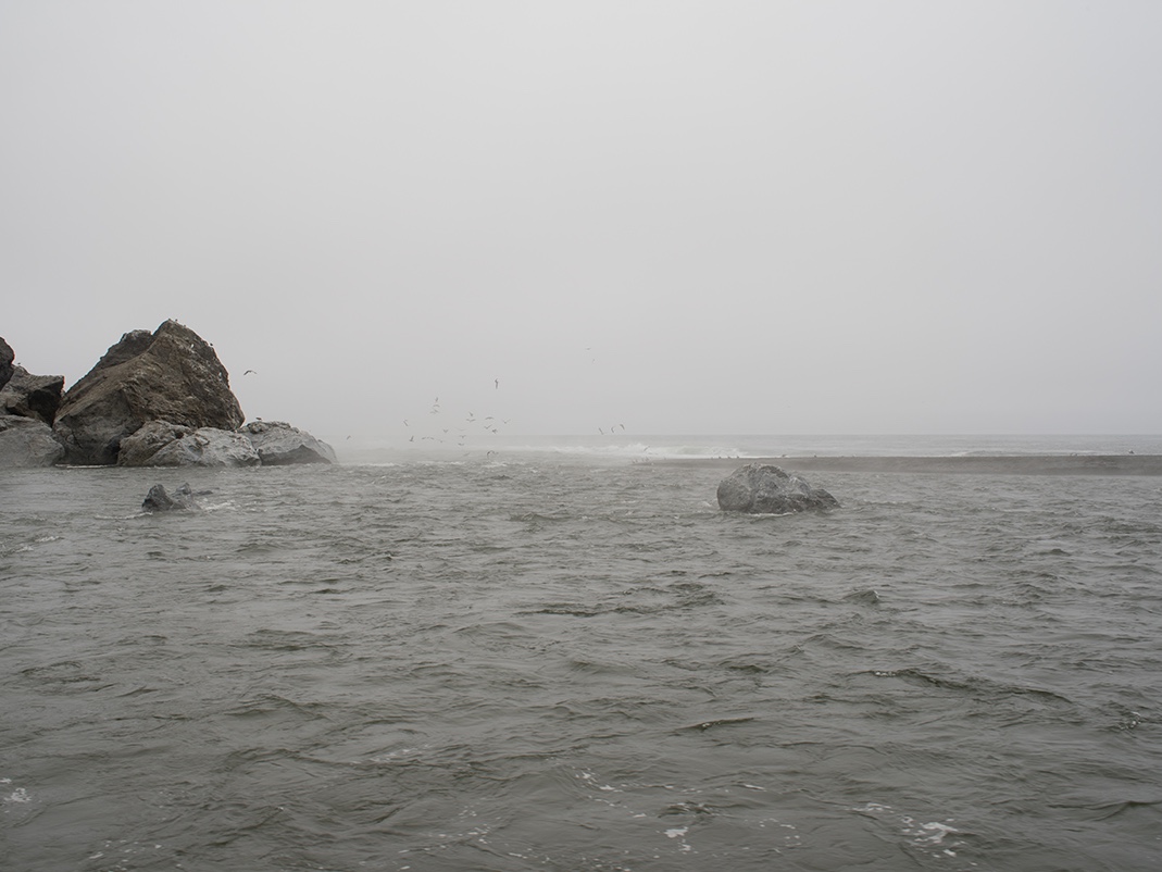 Birds are congregating at the union of river and ocean on the Lost Coast of Northern California. The salmon are moving up river and the birds are following their movement. This is Lost Coast XIII from the Lost Coast edition of fine art photographs.