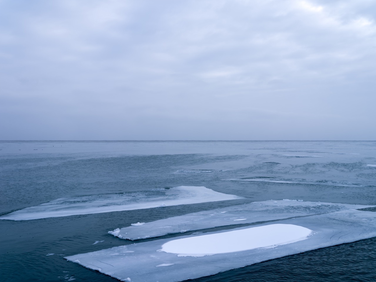 Large sheets of ice bump against one another in the frigid waters of Lake Michigan early in 2024. As the day progresses their edges begin to round and soften.