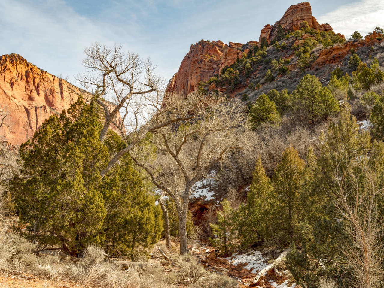 Beginning fifteen hundred years ago and lasting for the following seven hundred years, the Ancestral Puebloans lived in this valley, creating villages whose traces remain today.