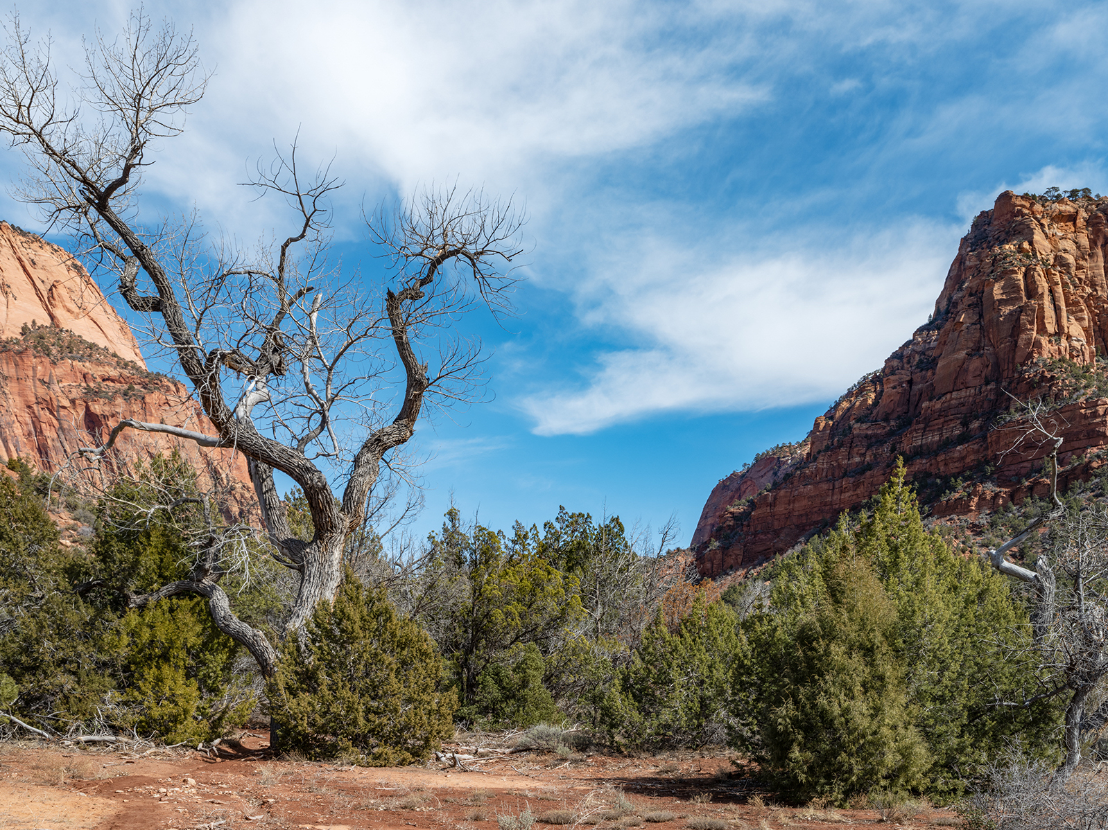 “Scrub and small trees, designed through evolution to withstand the harsh conditions found on the mountainsides, cover much of the upper climes seen in this edition. Finding ingenious ways to survive in thin soil and on the rock faces that ring the valleys. In spring the low lying lands erupt in verdant greens, lush with new growth.”