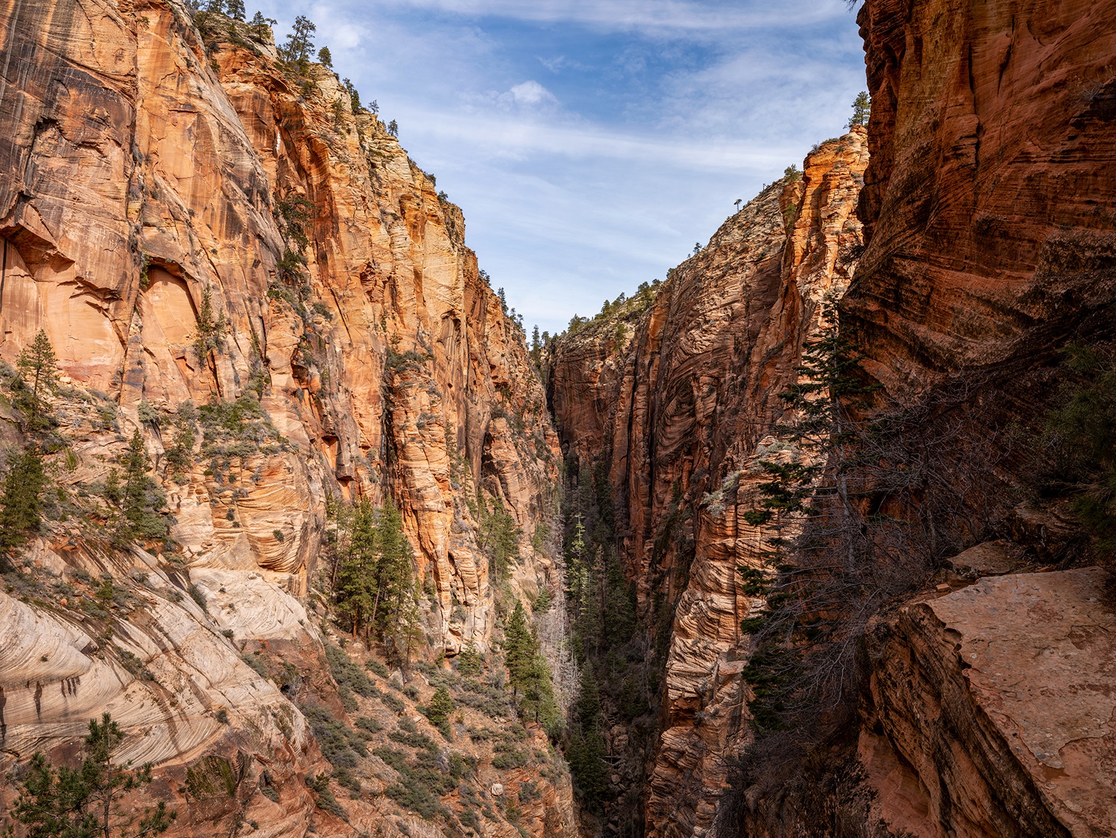 “In Twelve Thousand Years, Schatz works his way through the canyons, tracing the trails that began to appear as the first humans arrived. Drawn to the region tracking and hunting large animals, over the ensuing thousands of years inhabitants would shift between hunting and gathering, farming and other agricultural models for survival.”