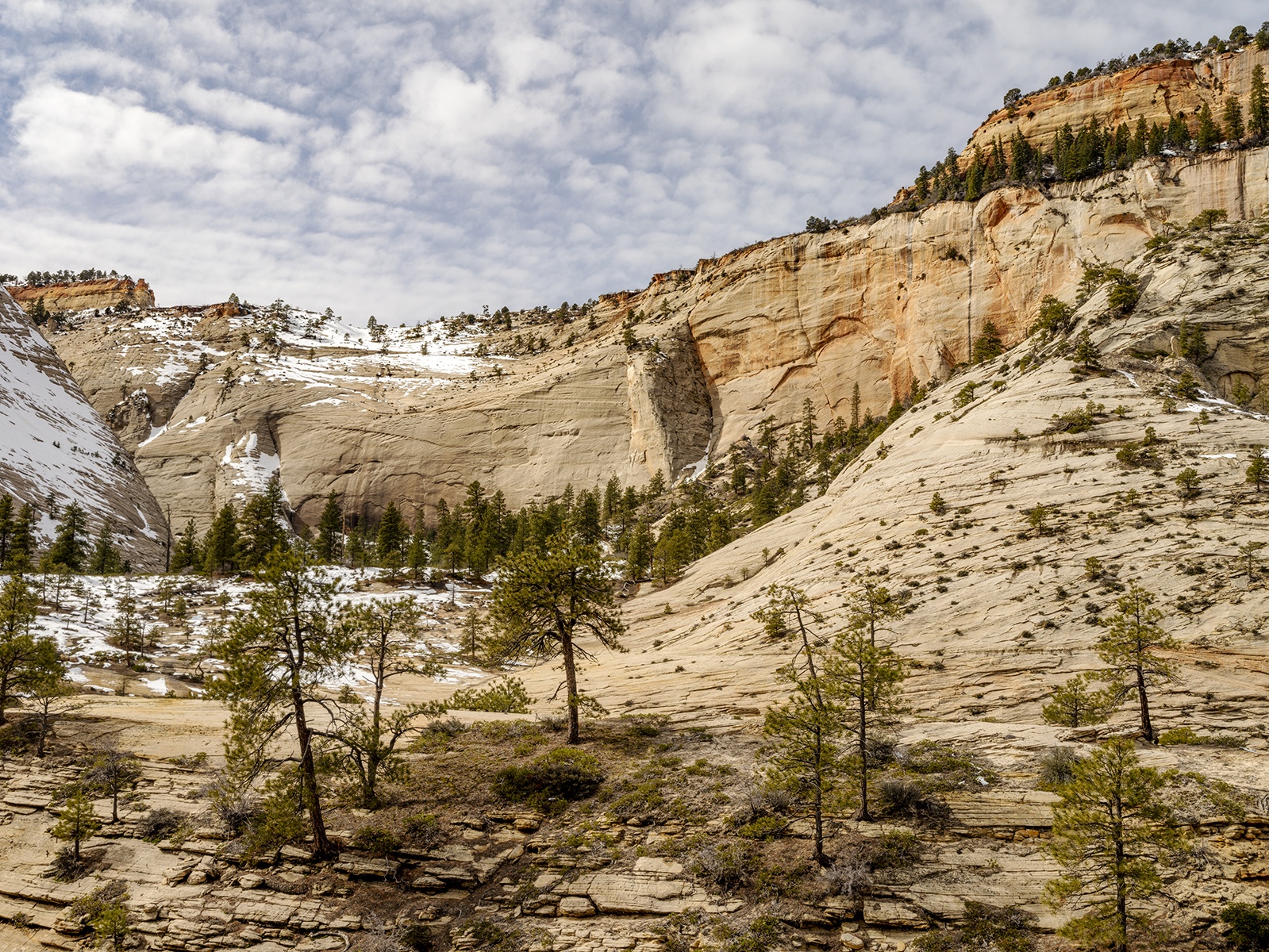 Three ecosystems converge in Zion National Park. Where the edges of the Colorado Plateau, the Great Basin and the Mojave Desert all come together.
