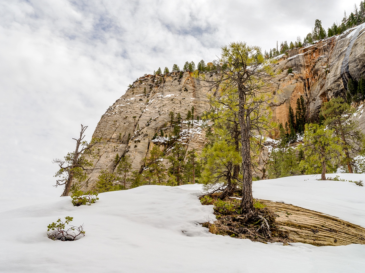 “Understanding this landscape means understanding, not just the geology or the wilderness found today, but also the ways humans lived here successfully for millennia. There is much we can learn today about the way Indigenous People, from the Ancestral Puebloans, to the Paiute and the Shoshone have stewarded and lived in harmony with this land for thousands of years.” -  Lincoln Schatz