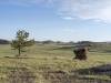 America: Tie Siding, Wyoming (3)