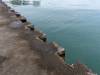 The Shore XIV