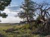 America: Tie Siding, Wyoming (1)