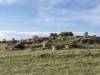 America: Tie Siding, Wyoming (8)