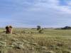 America: Tie Siding, Wyoming (10)